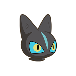 小黑猫